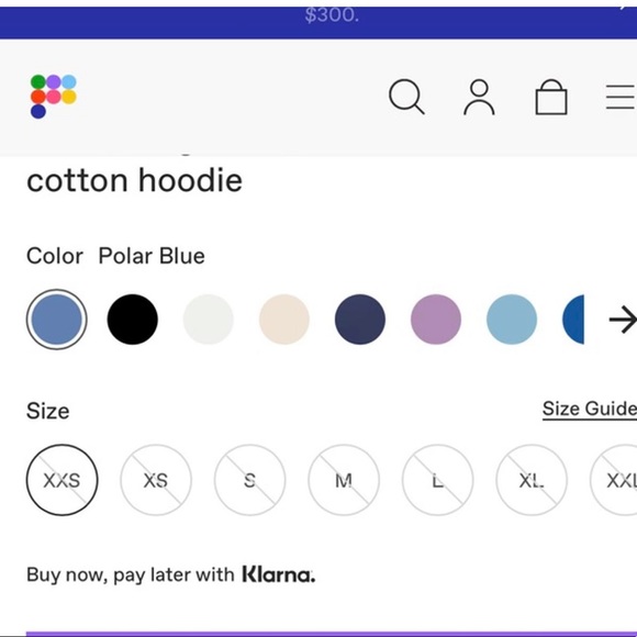NWOT- Pangaia Heavyweight Cotton Hoodie - Picture 5 of 7